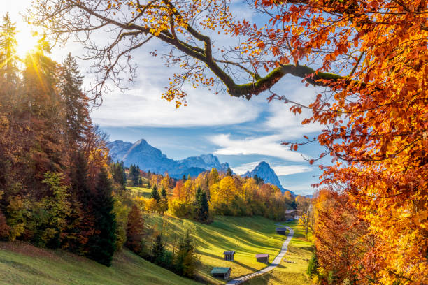 wamberg in autunno - baviera - germania - waxenstein foto e immagini stock