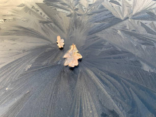 gefrorenes schwarzes autodach mit interessantem muster - peeling frost ice season stock-fotos und bilder
