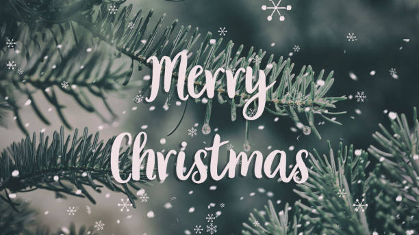 istock Merry christmas everyone winter pine tree background snowflakes 1188243530