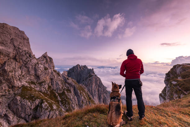 Adventure Man with Dog at High Mountains Peak at Sunrise. Togetherness and Friendship Concept stock photo