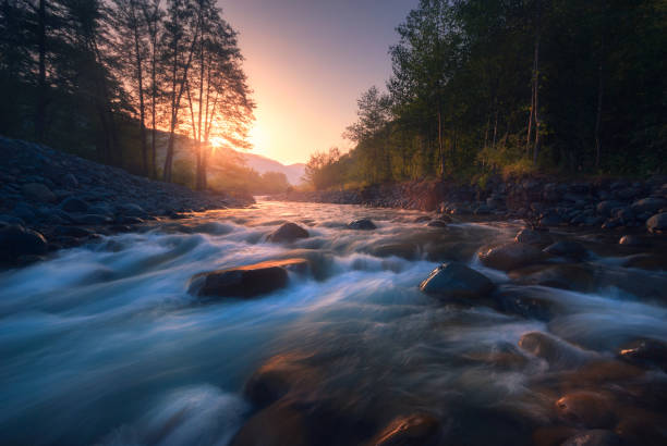 schöner schneller fluss im bergwald bei sonnenaufgang - waterfall rapid landscape woods stock-fotos und bilder