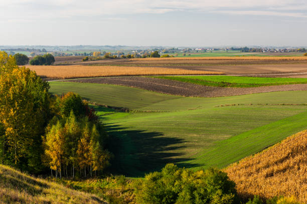 Rolling Hills in Polish Coutryside with Farm Fields at Fall Season.