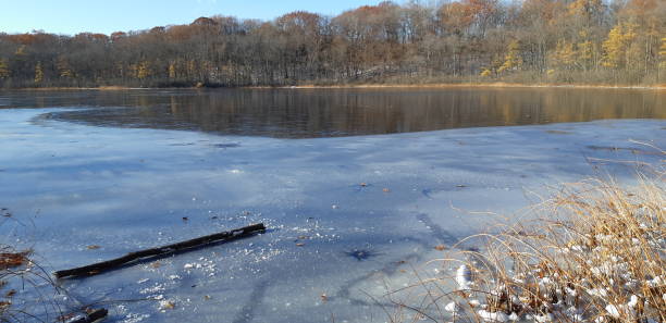 istock Cold November by the lake 1188248641