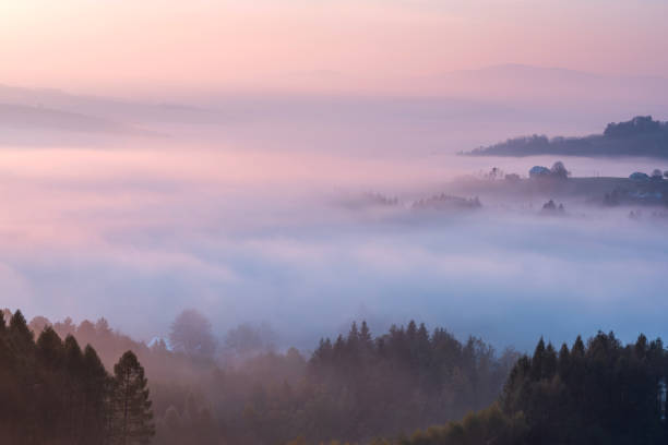 istock Pastel Clouds at Sunrise over Fog and Forest 1188251566