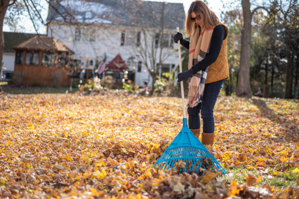 woman raking leaves in autumn middle age woman in vest and scarf raking leaves in backyard in autumn rake stock pictures, royalty-free photos & images
