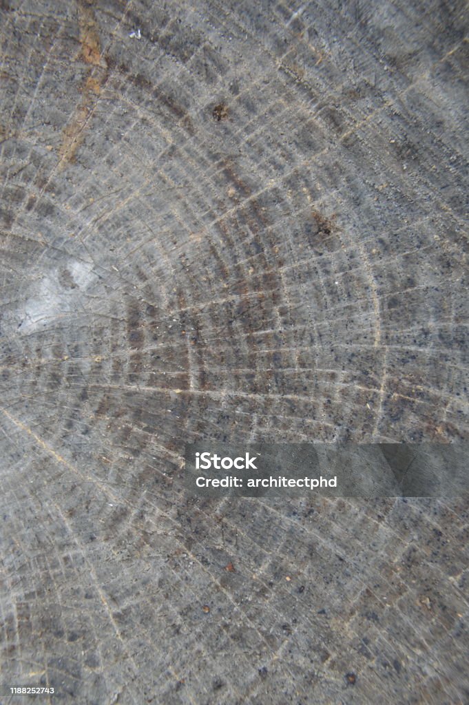 Timber Processed Texture Solid Wood And Processed Lumber Surface The Textures Stock Photo ...