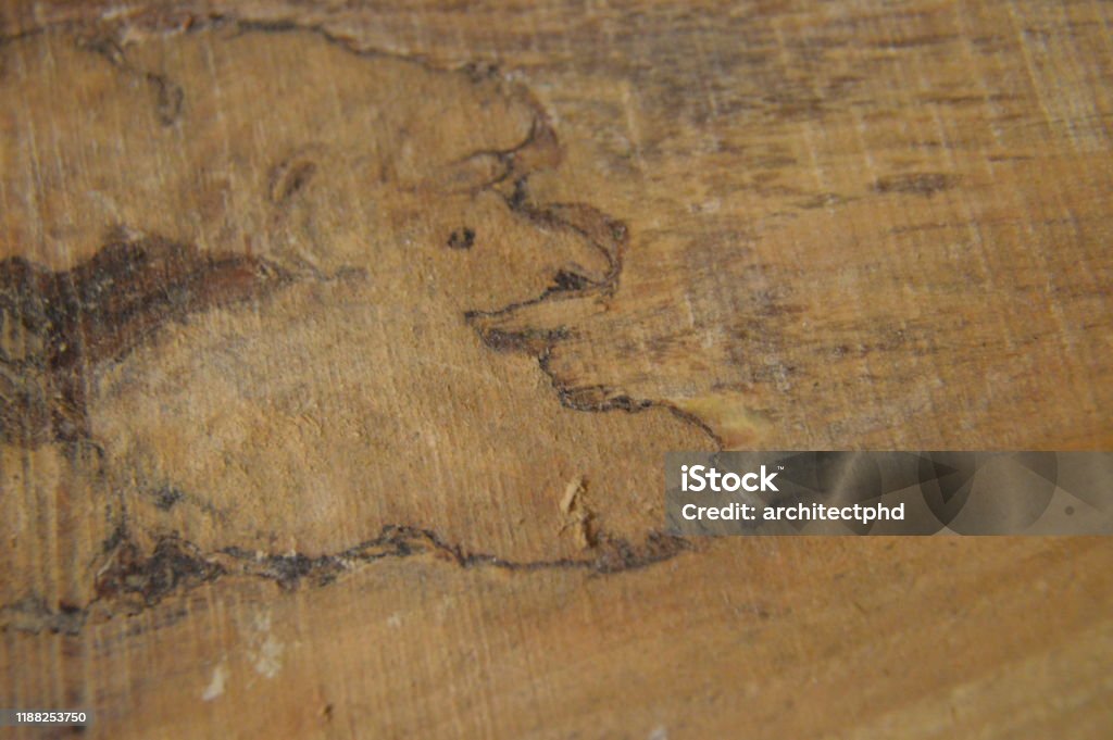 Timber Processed Texture Solid Wood And Processed Lumber Surface The Textures Stock Photo ...