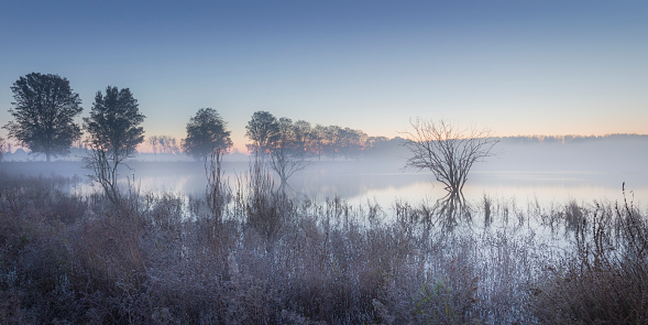 Misty morning sunrise in the IJsseldelta landscape along the river IJssel during a autumn morning in Overijssel, The Netherlands.