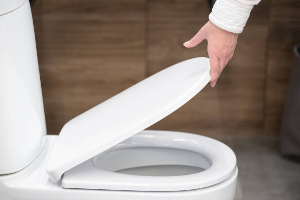 istock New toilet cover. 1188256204