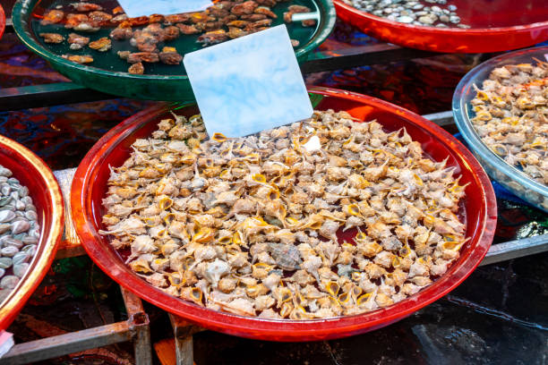 istock Various seafood in the fish market, shells, Oysters. 1188258011