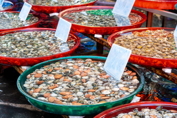 istock Various seafood in the fish market, shells, Oysters. 1188258015