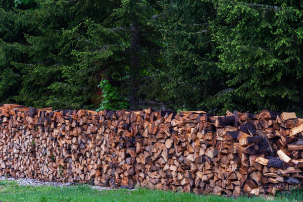 Stack of firewood in preparation for winter stock photo