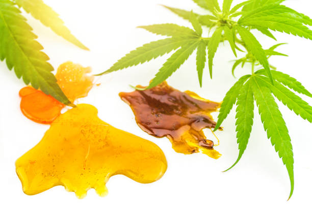 istock Various Cannabis CBD and THC Shatter rosin extracts with Hemp fl 1188262714