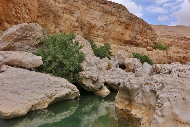 вади бани халид beatiful каньон - wadi bani khalid стоковые фото и изображения