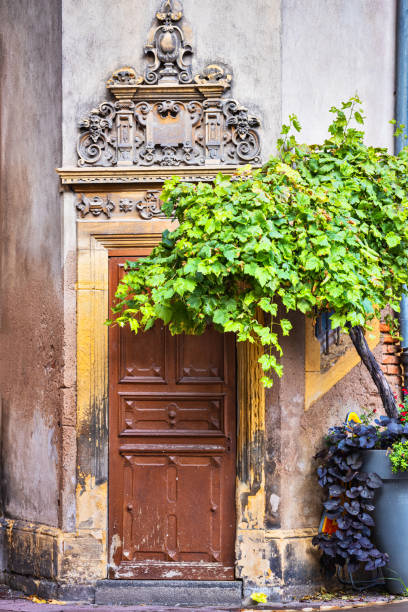 istock Colmar architecture in France 1188266601