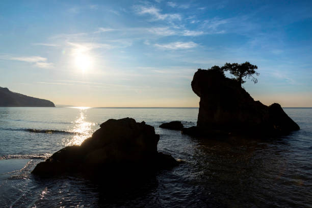 Single pine tree on the rock in sea at sunset in Inkumu, Bartin, Turkey.