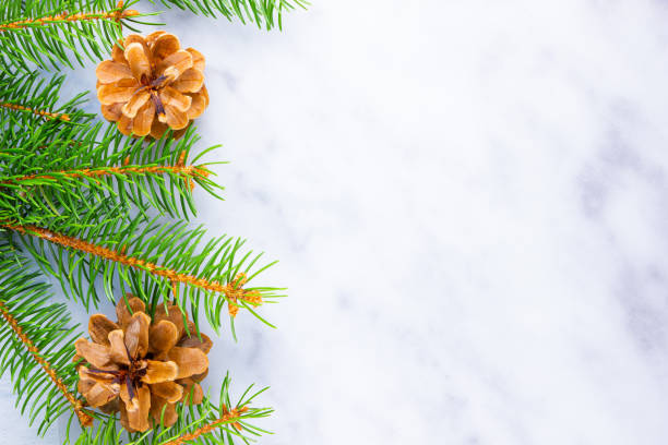 istock Christmas framework with fir branches and pine cones on white background. Christmas frame of spruce branches on marble background. Copy space. Flat lay 1188267153