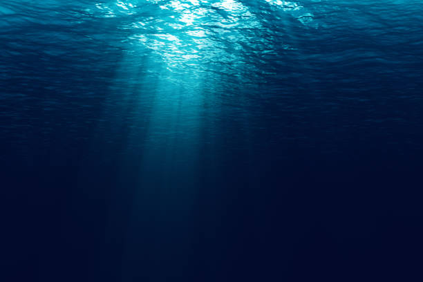 istock perfectly seamless of deep blue ocean waves from underwater background with micro particles flowing, light rays shining through 1188269360