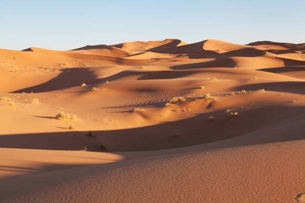 istock Desert sand dunes in Morocco 1188270649