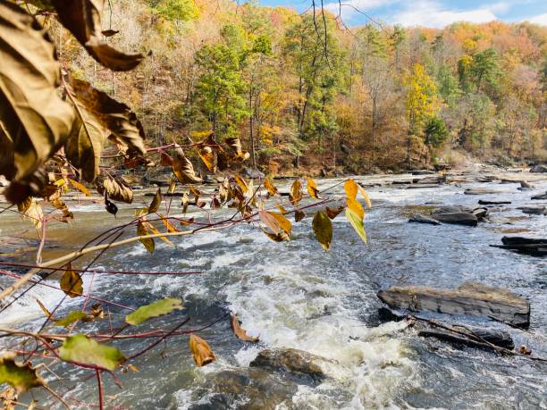 istock Sweet water creek 1188271758