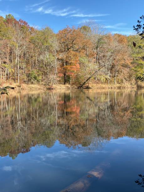 istock Sweet water creek 1188271841