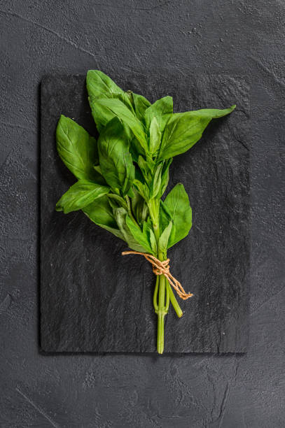 istock A sprig of Basil on a black background. Space for text. Seasoning for vegetables. 1188274225