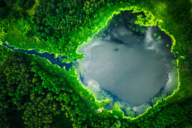 istock Top down view of blooming algae on lake, aerial view 1188278762