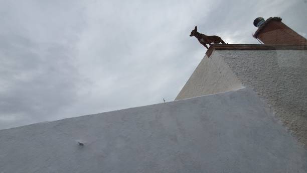 istock Watchman on the edge 1188282454