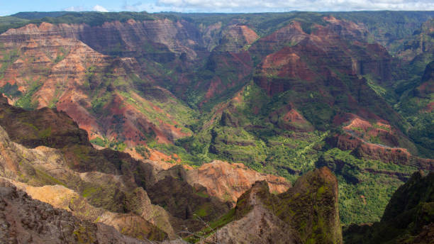 istock Waimea National Park 1188285658