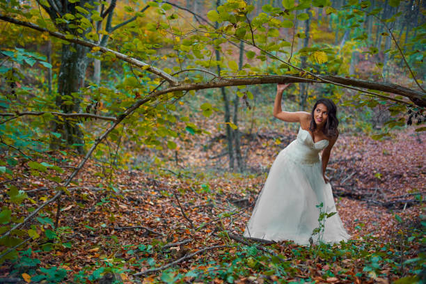 istock Bride in white dress in the forest 1188287621