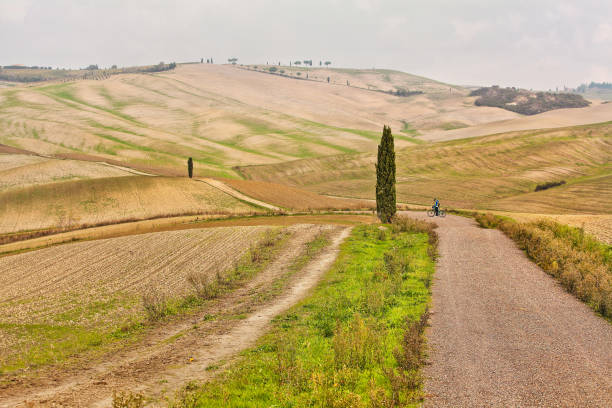 пейзаж холмов тосканы осенью в италии - tuscany italy tree cypress tree стоковые фото и изображения