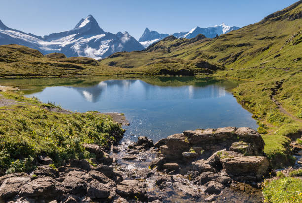 bachalpsee oberhalb des grindelwaldtals in den berner alpen, schweiz - schreckhorn stock-fotos und bilder