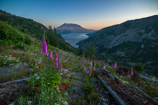 Spirit Lake, Mount St. Helens, Washington State, Lake, Volcano