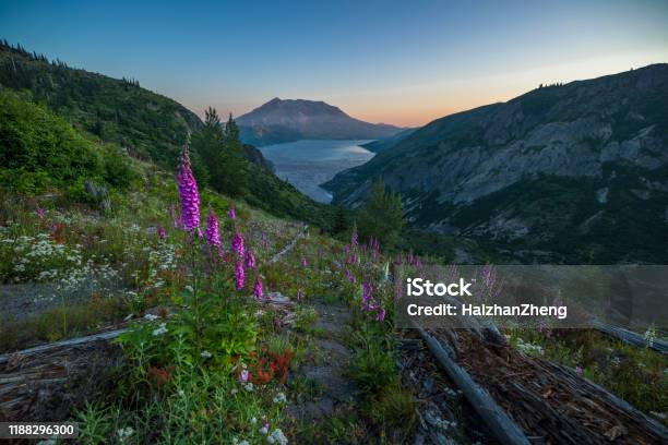 Mount Saint Helens Stock Photo - Download Image Now - Mount St. Helens, River, Accidents and Disasters