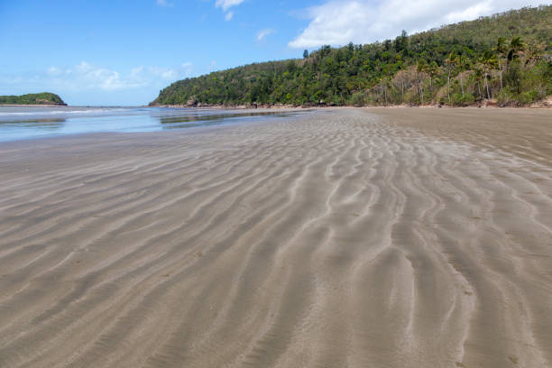 Beautiful Cape Hillsborough Beautiful Cape Hillsborough near Mackay Queensland mackay stock pictures, royalty-free photos & images