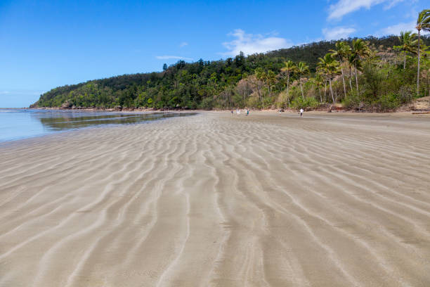 istock Beautiful Cape Hillsborough 1188297186