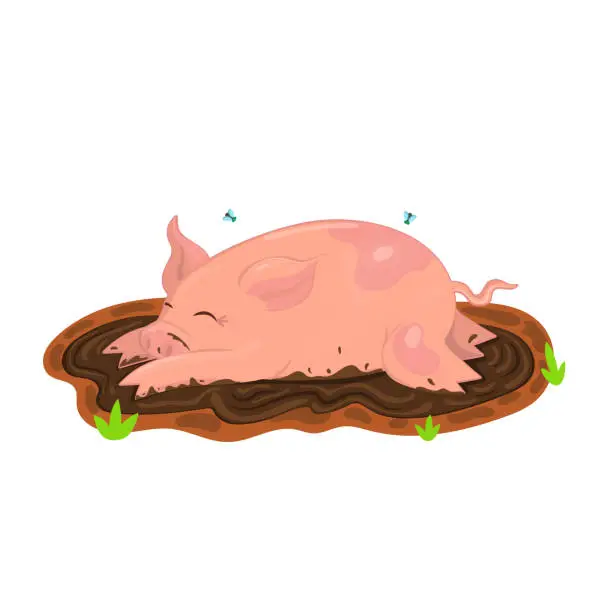 Vector illustration of Pig is bathed in mud. Vector illustration of clip art. Isolate on white background.