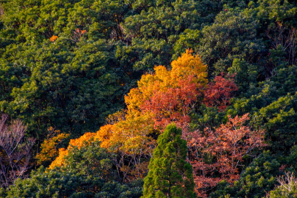 istock Ryugatake,Shiga,Mie,Japan 1188300337