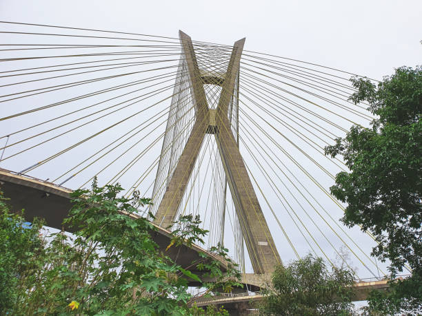 istock Famous cable-stayed bridge at Sao Paulo city. 1188302321