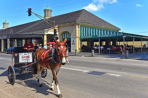 New Orleans, LA, USA - September 26, 2019: Donkey drawn carriage crosses Decatur St by Cafe Du Monde which was established in 1862.