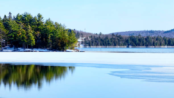 istock Algonquin Park Winter Landscape 1188302697