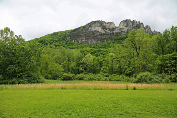 istock Seneca Rocks and the meadow 1188302752