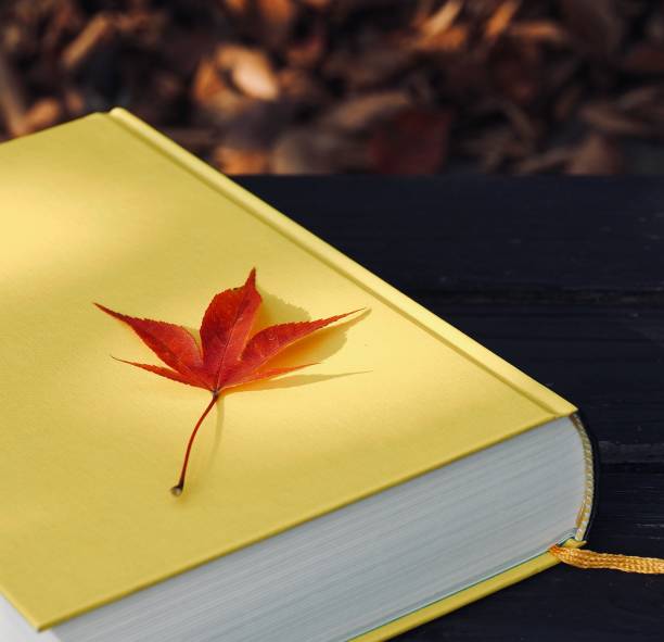 istock Yellow book and autumn maple leaves 1188303551