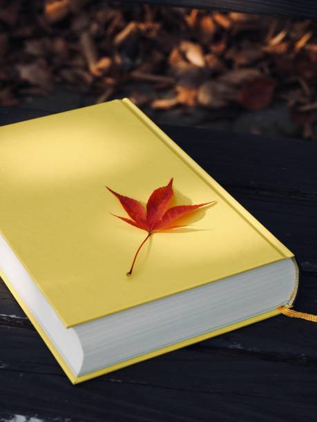 istock Yellow book and autumn maple leaves 1188303585
