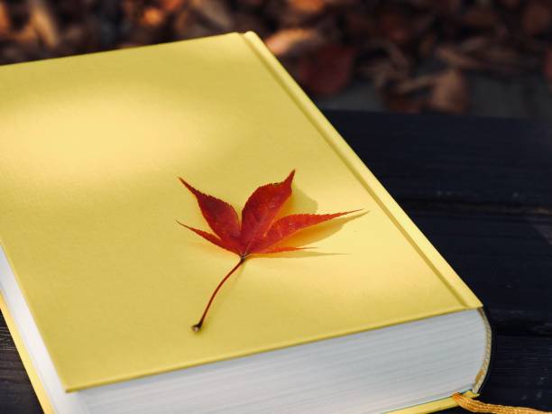 istock Yellow book and autumn maple leaves 1188303633