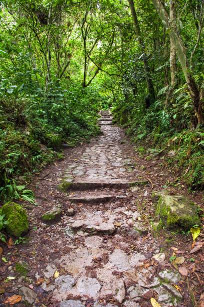 istock Machu Picchu, pathway to peruvian incan town 1188304407