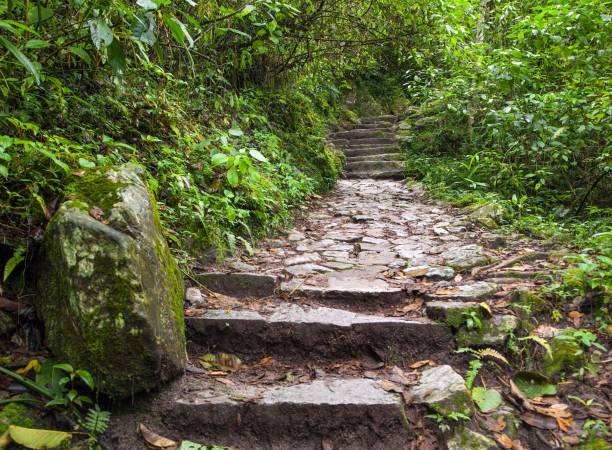 istock Machu Picchu, pathway to peruvian incan town 1188305097