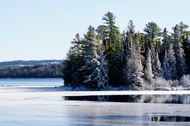 istock Algonquin Park in Early Winter 1188307023