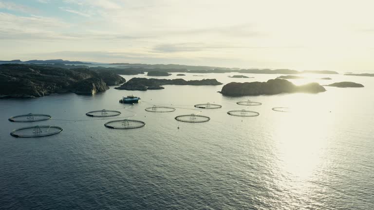 Aerial drone view: the sea and fjords of Norway