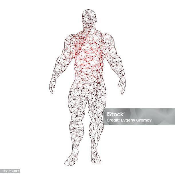Ilustración de Silueta De Culturista Posando y más Vectores Libres de Derechos de Adulto - Adulto, Asistencia sanitaria y medicina, Atleta - Papel social - iStock Ilustración de Silueta De Culturista Posando y más Vectores Libres de Derechos de Adulto - Adulto, Asistencia sanitaria y medicina, Atleta - Papel social - iStock